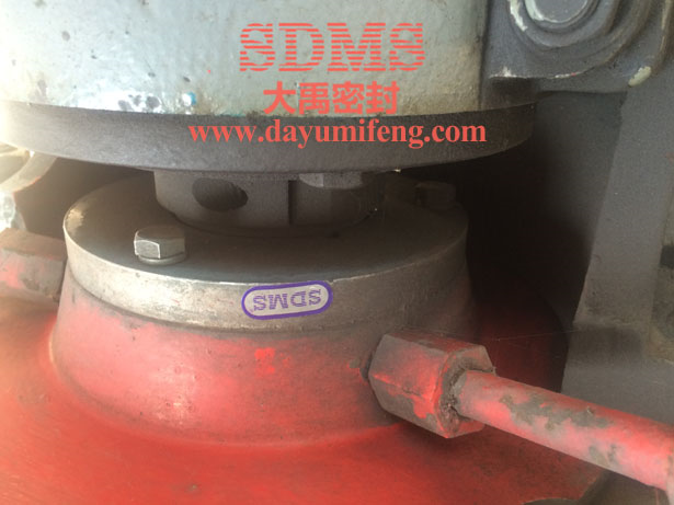 大禹密封150DT-A40機械密封使用現場
